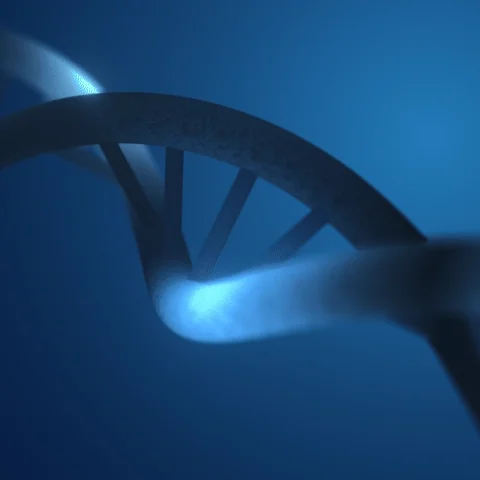 myHealthScore header